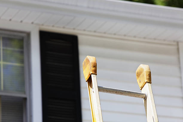 Best Custom Siding Design  in USA